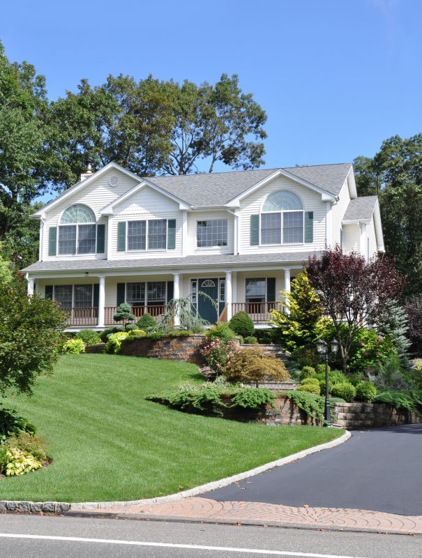 Asphalt Driveway Repair detail